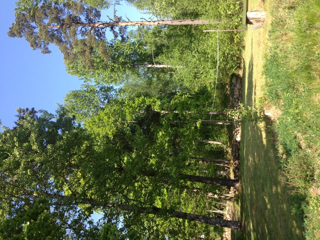 Marston Hill Pension Mullsjö Buitenkant foto